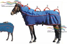 Coperta per Magnetoterapia dei Cavalli
